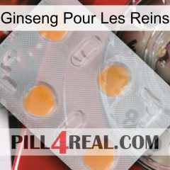 Ginseng For Kidney 24